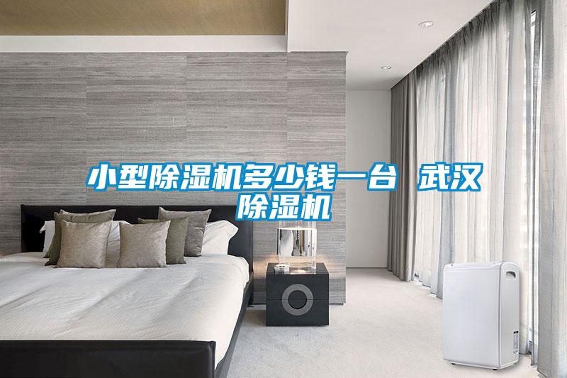 小型麻豆视频黄网站多少钱一台 武汉麻豆视频黄网站