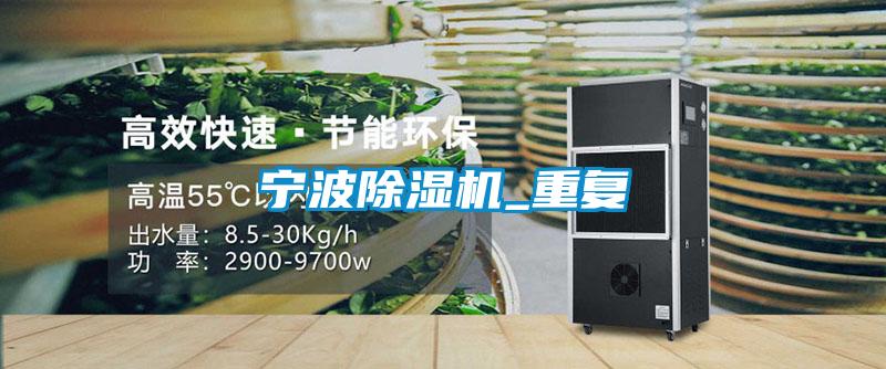 宁波麻豆视频黄网站_重复
