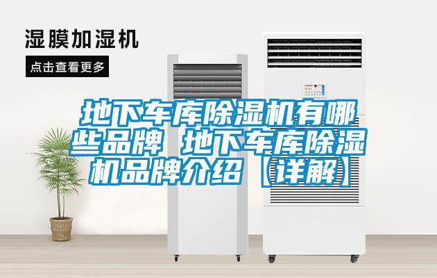地下车库麻豆视频黄网站有哪些品牌 地下车库麻豆视频黄网站品牌介绍【详解】
