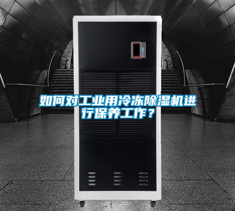 如何对工业用冷冻麻豆视频黄网站进行保养工作？