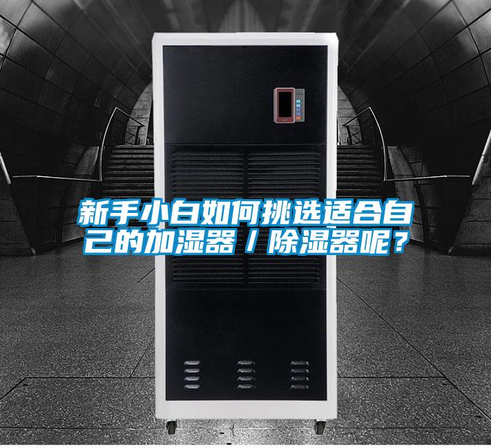 新手小白如何挑选适合自己的加湿器／除湿器呢？