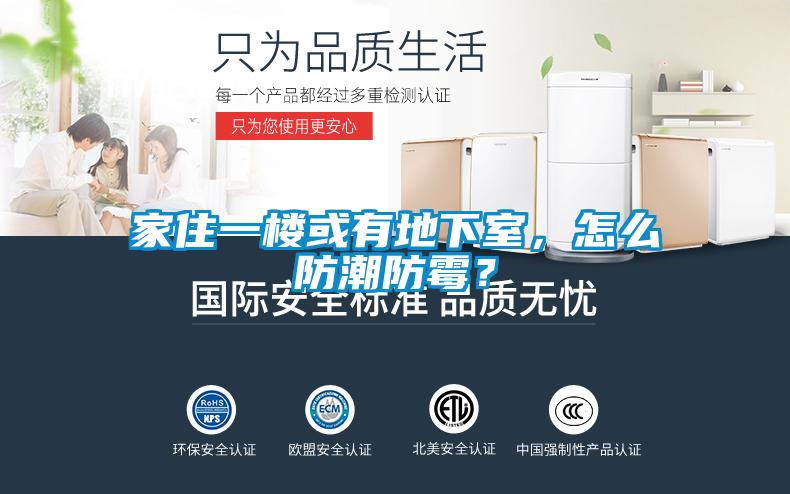 家住一楼或有地下室，怎么防潮防霉？