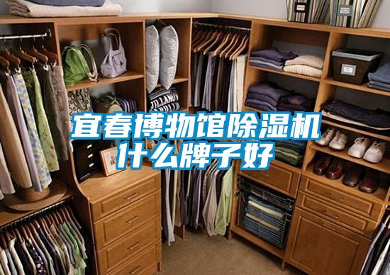 宜春博物馆麻豆视频黄网站什么牌子好