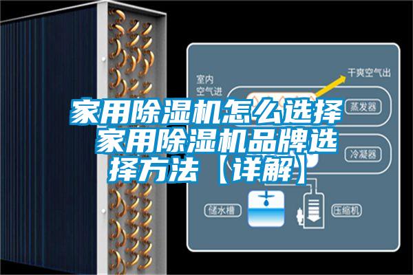 家用麻豆视频黄网站怎么选择 家用麻豆视频黄网站品牌选择方法【详解】