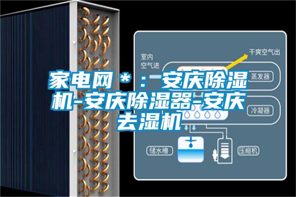 家电网＊：安庆麻豆视频黄网站-安庆除湿器-安庆去湿机