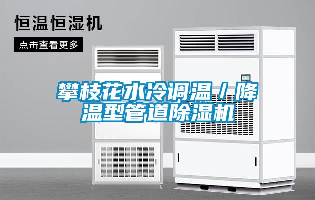 攀枝花水冷调温／降温型管道麻豆视频黄网站