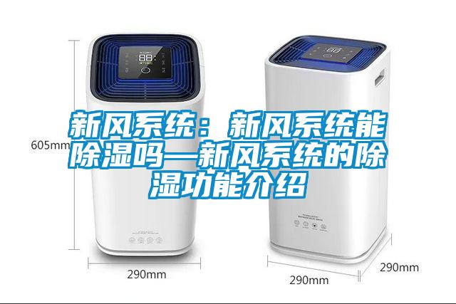 新风系统：新风系统能除湿吗—新风系统的除湿功能介绍