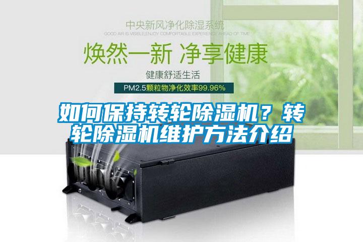 如何保持转轮麻豆视频黄网站？转轮麻豆视频黄网站维护方法介绍