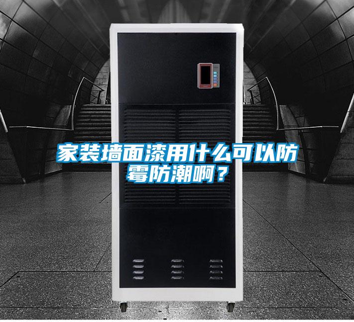 家装墙面漆用什么可以防霉防潮啊？