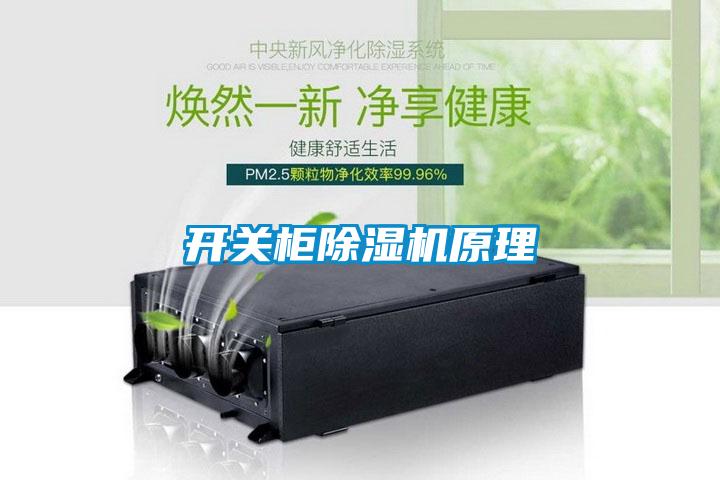 开关柜麻豆视频黄网站原理
