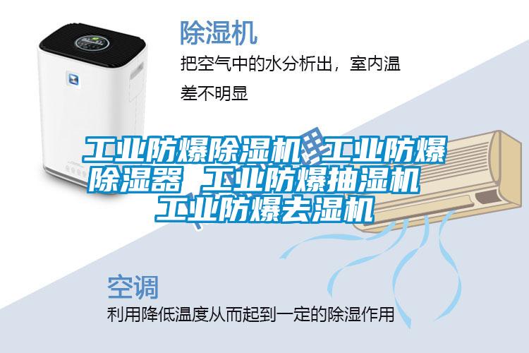 工业防爆麻豆视频黄网站 工业防爆除湿器 工业防爆抽湿机 工业防爆去湿机