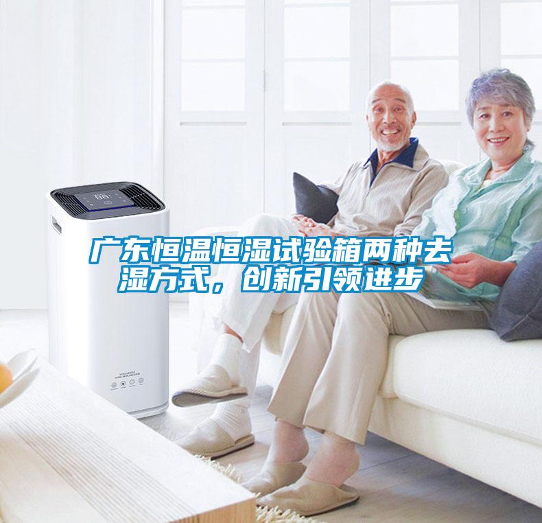 广东恒温恒湿试验箱两种去湿方式，创新引领进步