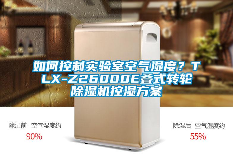如何控制实验室空气湿度？TLX-Z26000E叠式转轮麻豆视频黄网站控湿方案