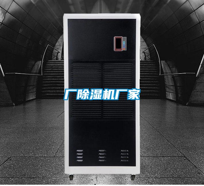 厂麻豆视频黄网站厂家