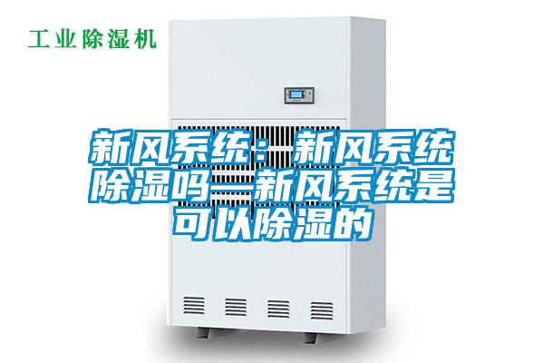 新风系统：新风系统除湿吗—新风系统是可以除湿的