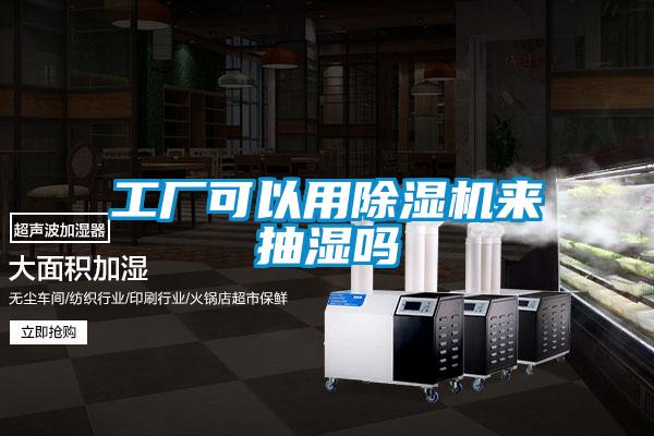 工厂可以用麻豆视频黄网站来抽湿吗