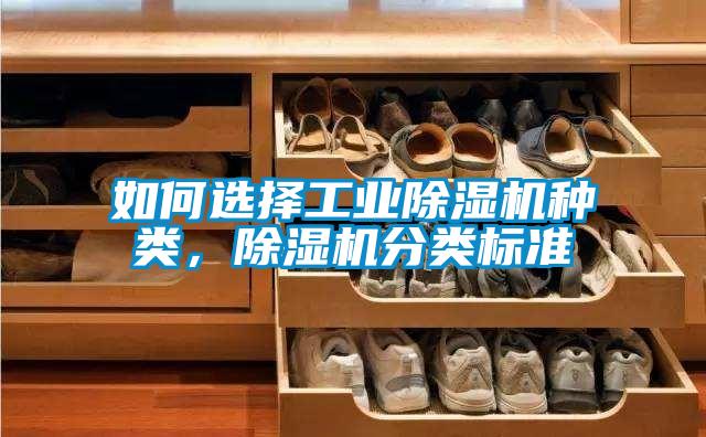 如何选择工业麻豆视频黄网站种类，麻豆视频黄网站分类标准