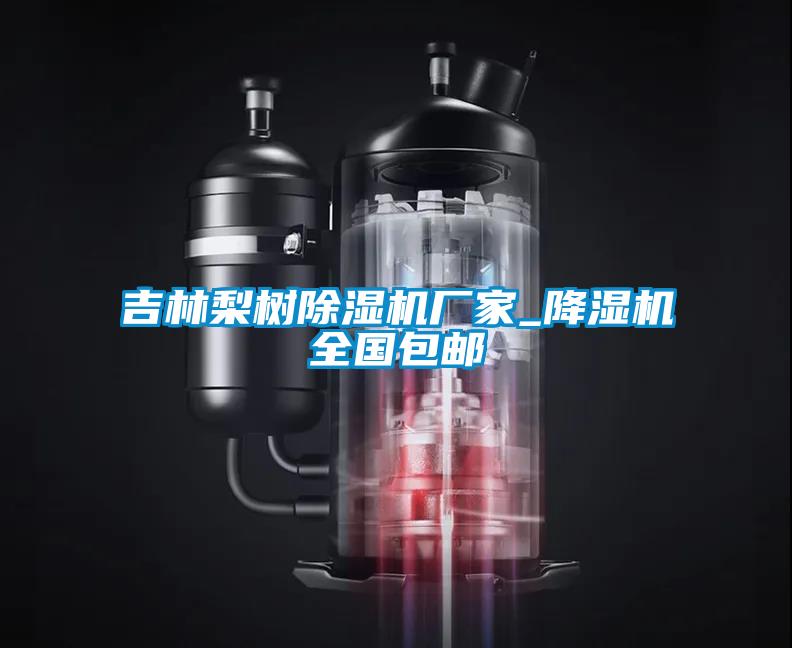 吉林梨树麻豆视频黄网站厂家_降湿机全国包邮