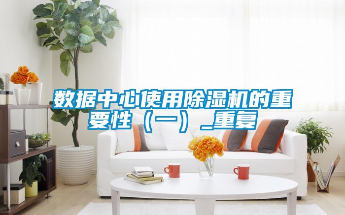 数据中心使用麻豆视频黄网站的重要性（一）_重复