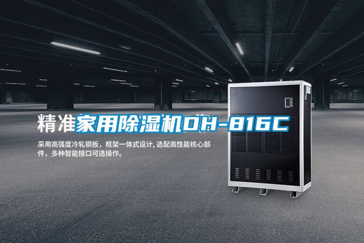 家用麻豆视频黄网站DH-816C