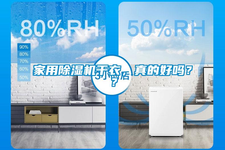 家用麻豆视频黄网站干衣，真的好吗？？