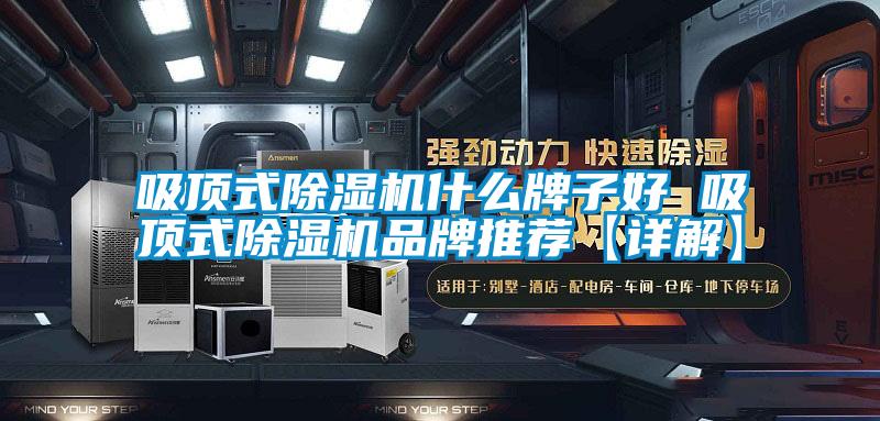 吸顶式麻豆视频黄网站什么牌子好 吸顶式麻豆视频黄网站品牌推荐【详解】