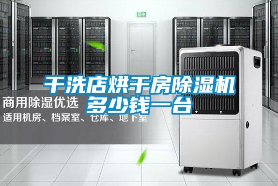 干洗店烘干房麻豆视频黄网站多少钱一台