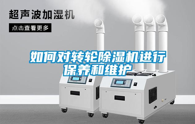 如何对转轮麻豆视频黄网站进行保养和维护