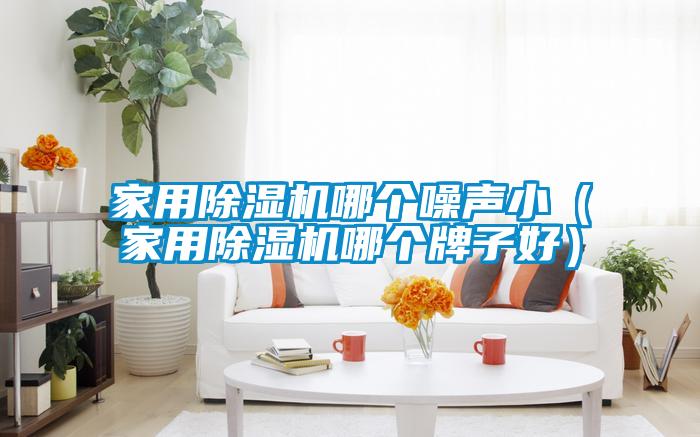 家用麻豆视频黄网站哪个噪声小（家用麻豆视频黄网站哪个牌子好）