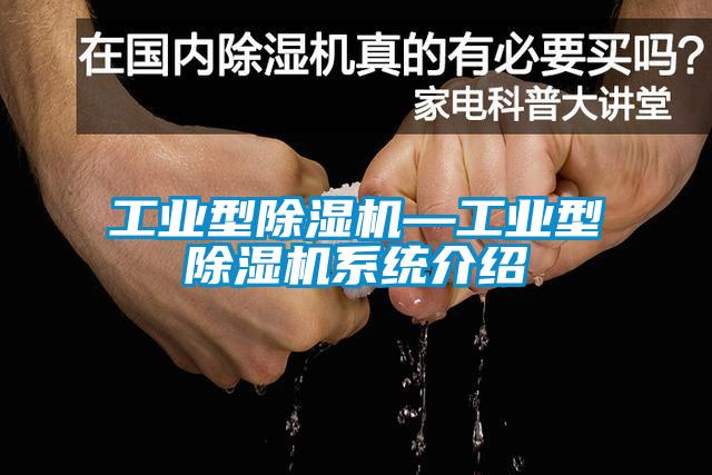 工业型麻豆视频黄网站—工业型麻豆视频黄网站系统介绍