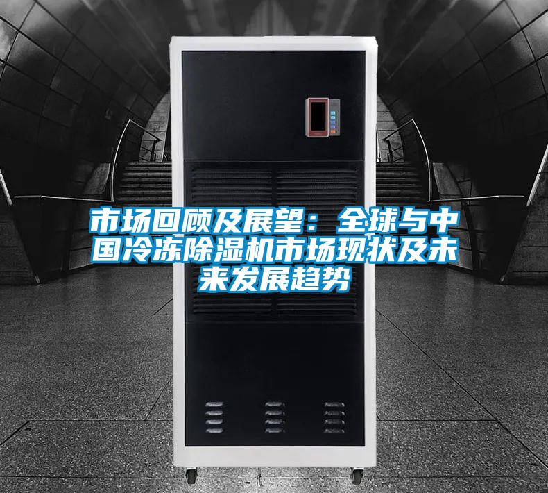 市场回顾及展望：全球与中国冷冻麻豆视频黄网站市场现状及未来发展趋势