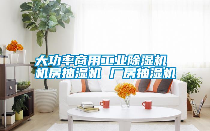 大功率商用工业麻豆视频黄网站 机房抽湿机 厂房抽湿机
