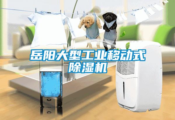 岳阳大型工业移动式麻豆视频黄网站