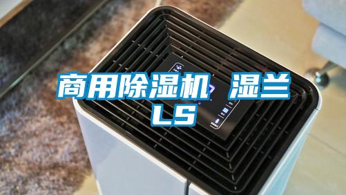 商用麻豆视频黄网站 湿兰LS