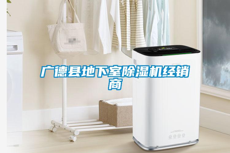 广德县地下室麻豆视频黄网站经销商