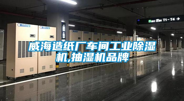 威海造纸厂车间工业麻豆视频黄网站,抽湿机品牌