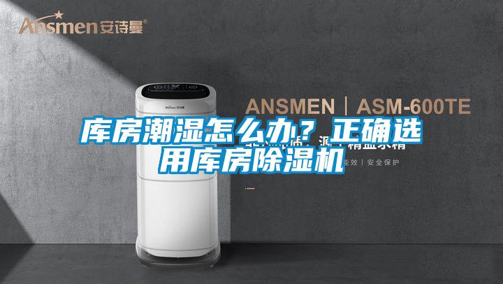 库房潮湿怎么办？正确选用库房麻豆视频黄网站