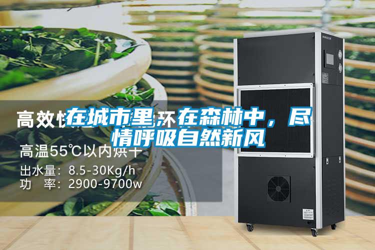 在城市里，在森林中，尽情呼吸自然新风