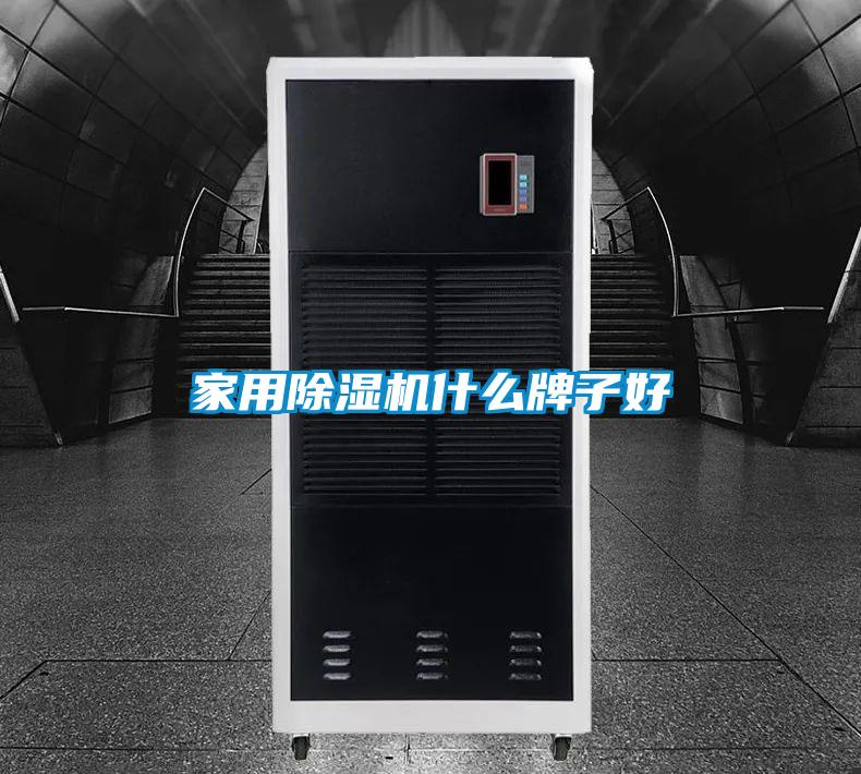 家用麻豆视频黄网站什么牌子好