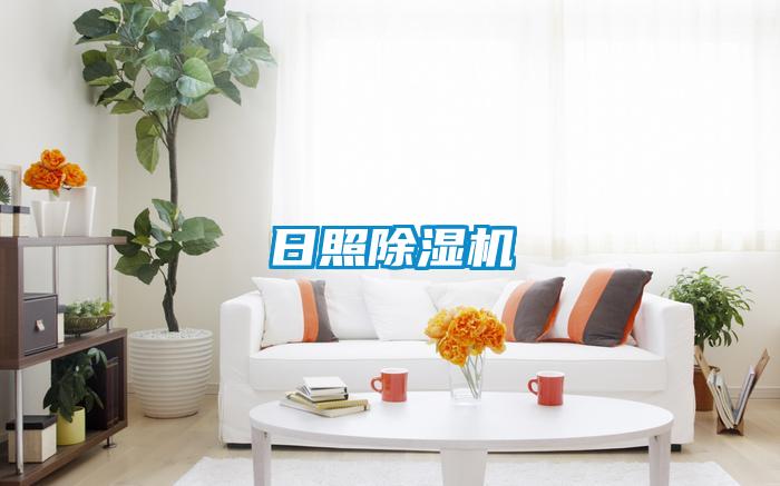 日照麻豆视频黄网站