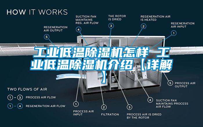 工业低温麻豆视频黄网站怎样 工业低温麻豆视频黄网站介绍【详解】