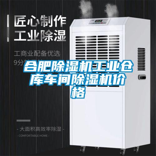 合肥麻豆视频黄网站工业仓库车间麻豆视频黄网站价格