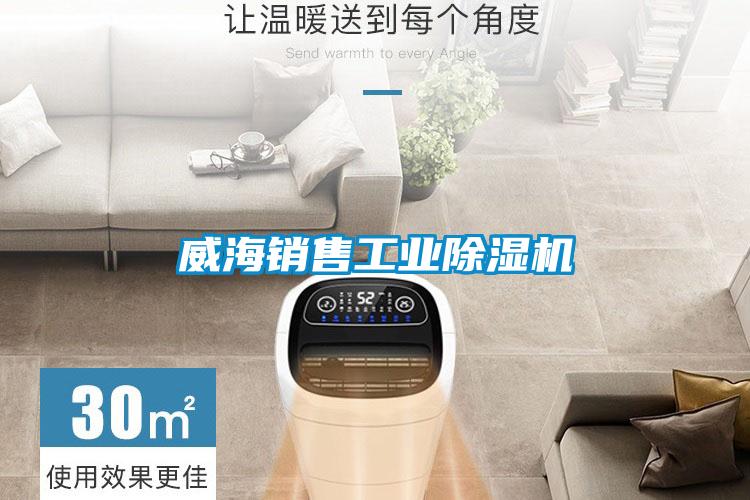 威海销售工业麻豆视频黄网站