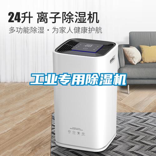 工业专用麻豆视频黄网站