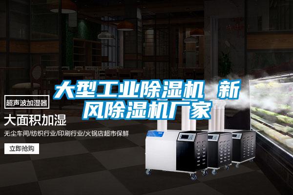 大型工业麻豆视频黄网站 新风麻豆视频黄网站厂家