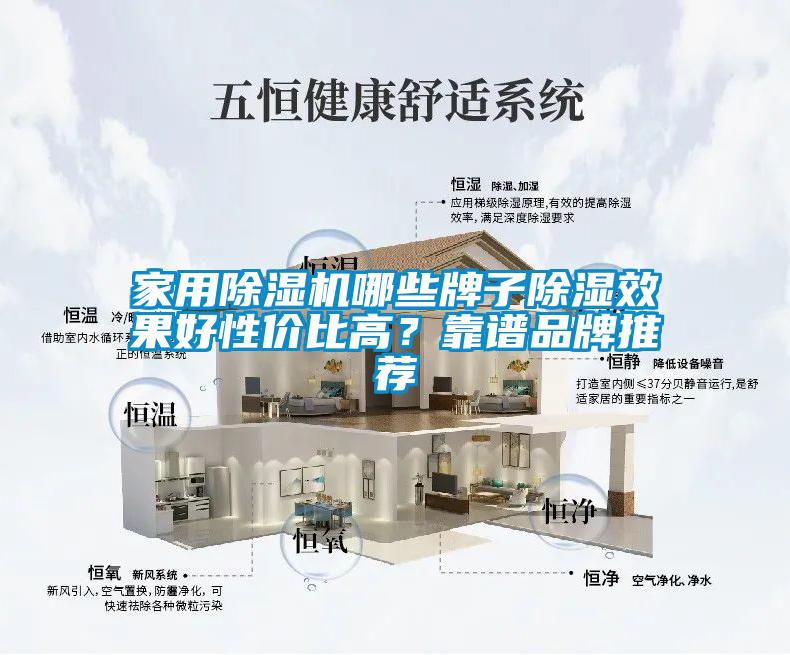 家用麻豆视频黄网站哪些牌子除湿效果好性价比高？靠谱品牌推荐