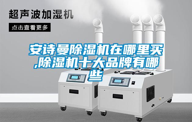 麻豆APP官网麻豆视频黄网站在哪里买,麻豆视频黄网站十大品牌有哪些