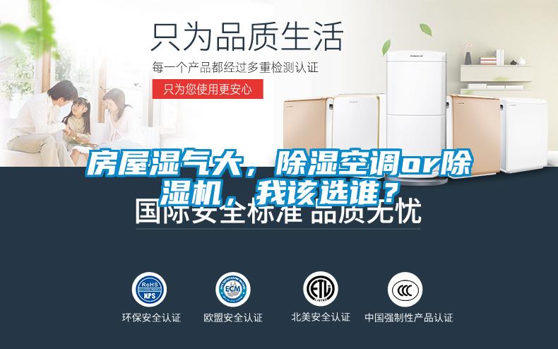 房屋湿气大，除湿空调or麻豆视频黄网站，我该选谁？