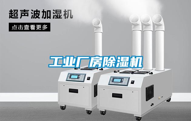 工业厂房麻豆视频黄网站