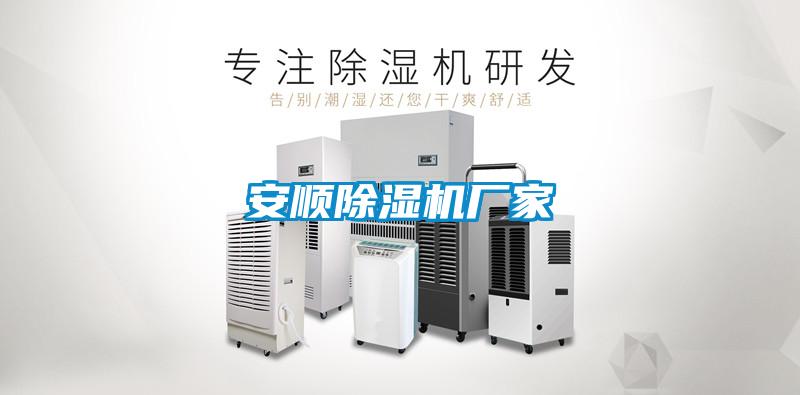 安顺麻豆视频黄网站厂家